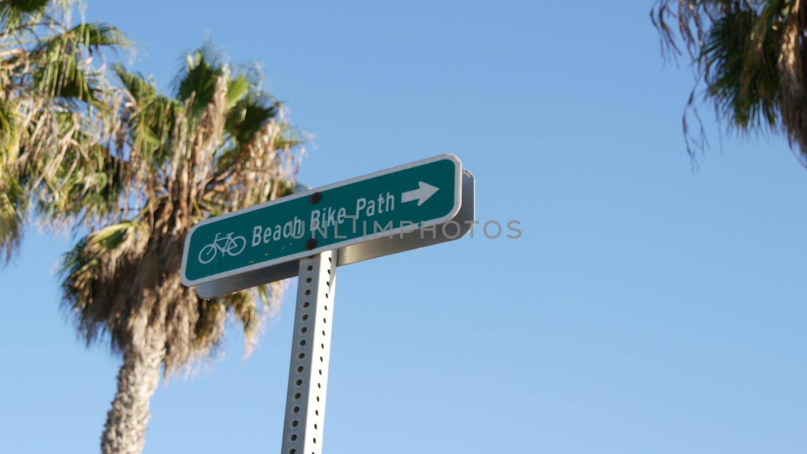 Bike Route green road sign in California, USA. Bicycle lane singpost. Bikeway in Oceanside pacific tourist resort. Cycleway signboard and palm. Healthy lifestyle, recreation and safety cycling symbol.