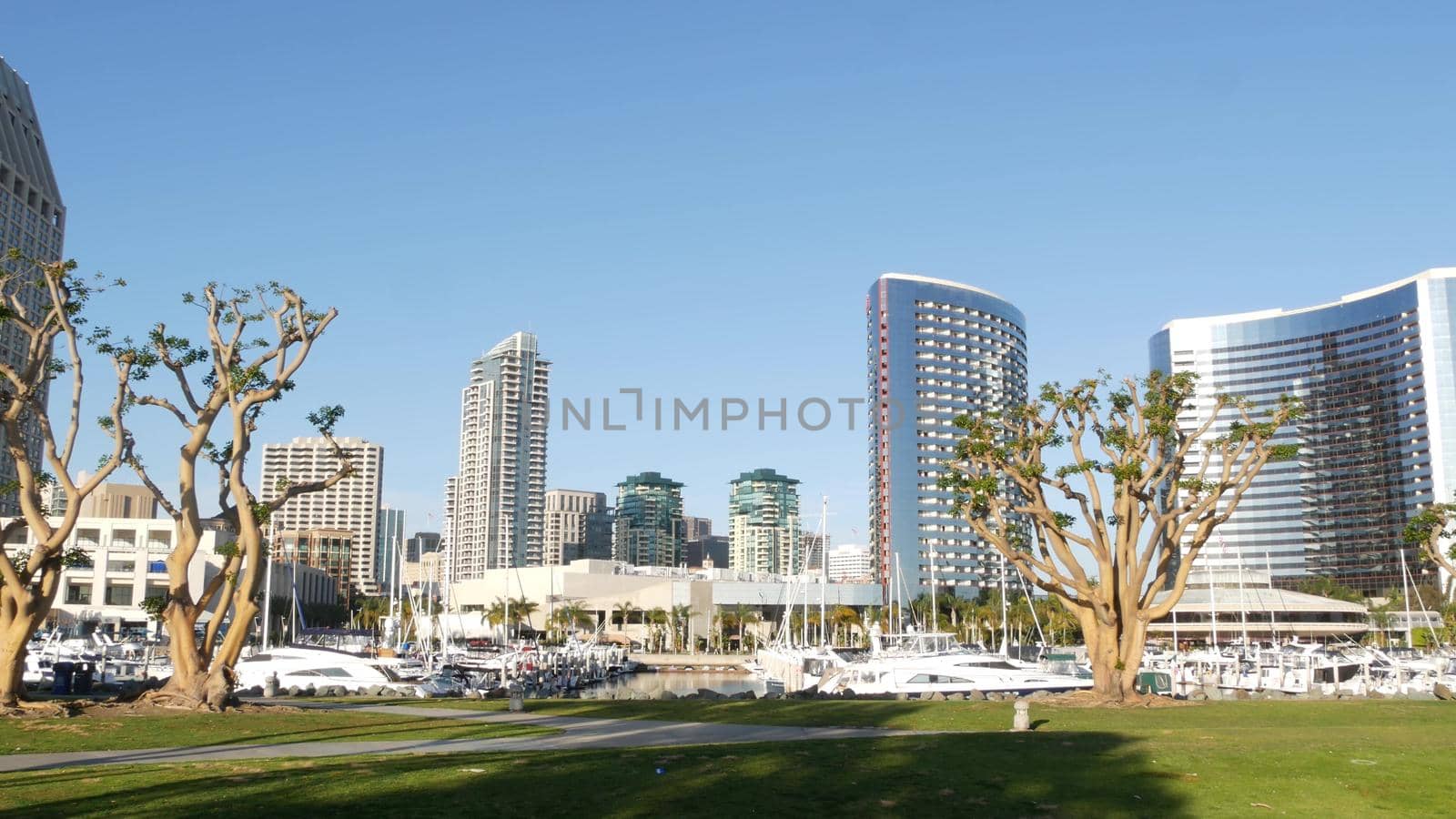 Embarcadero marina park, big coral trees near USS Midway and Convention Center, Seaport Village, San Diego, California USA. Luxury yachts and hotels, metropolis urban skyline and highrise skyscrapers by DogoraSun