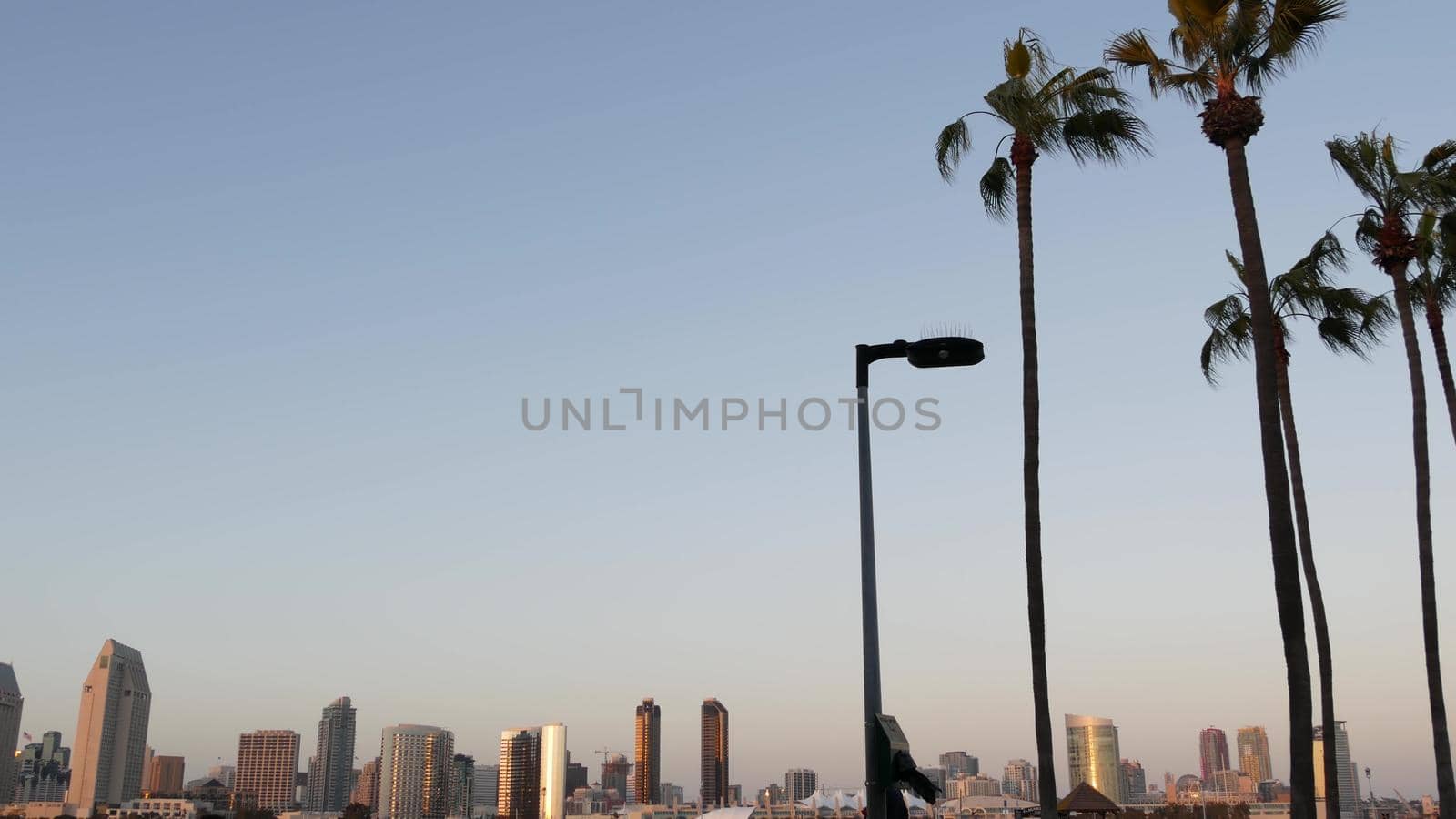 Metropolis urban skyline, highrise skyscrapers, San Diego Bay, California USA. Pacific ocean harbour in sunset light, view from Coronado island. City downtown buildings and silhouettes of palm trees.