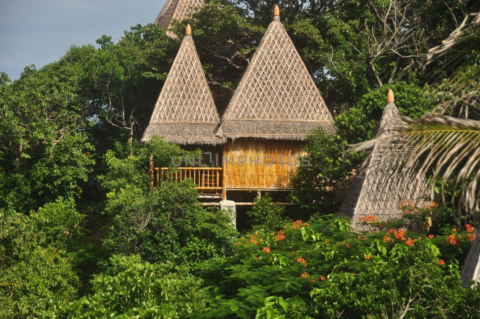 View of wooden houses with conic thatched roofs in bright green tropical vegetation. Thatched houses in lush tropical vegetation. Paradise exotic island life