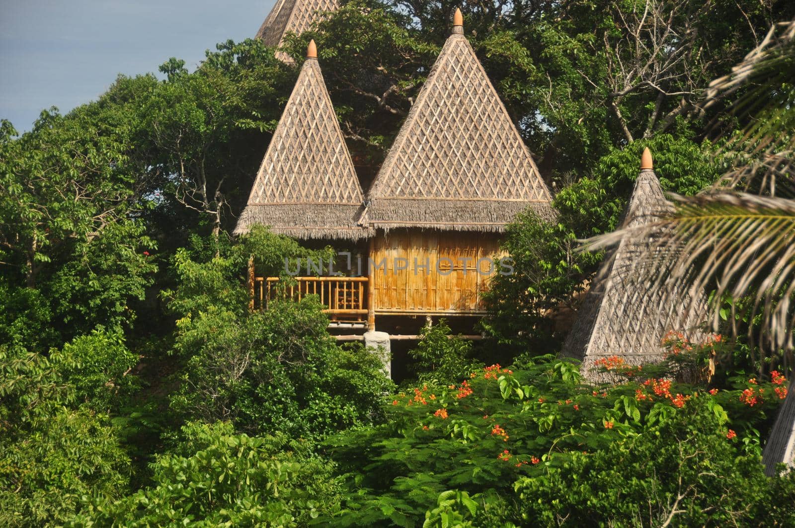 View of wooden houses with conic thatched roofs in bright green tropical vegetation. Thatched houses in lush tropical vegetation. Paradise exotic island life. by DogoraSun