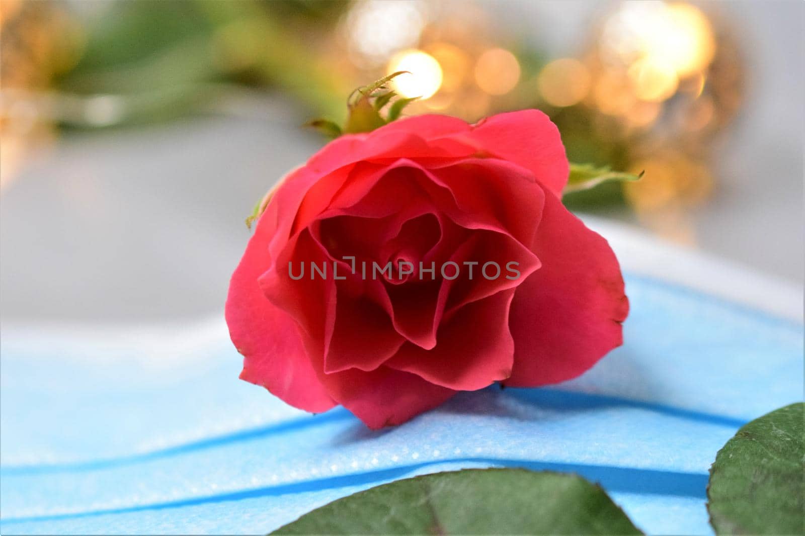 Pink rose on a surgical mask