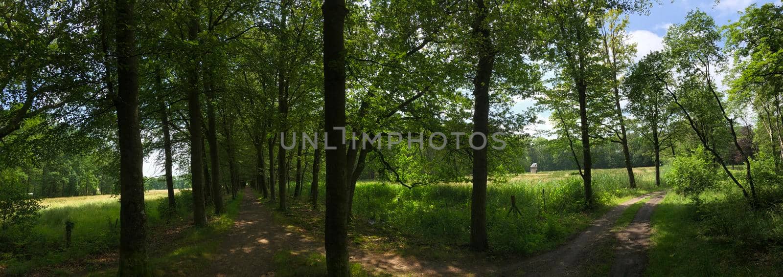 Panorama from the forest in Natuurschoon Nietap in the province Drenthe, The Netherlands