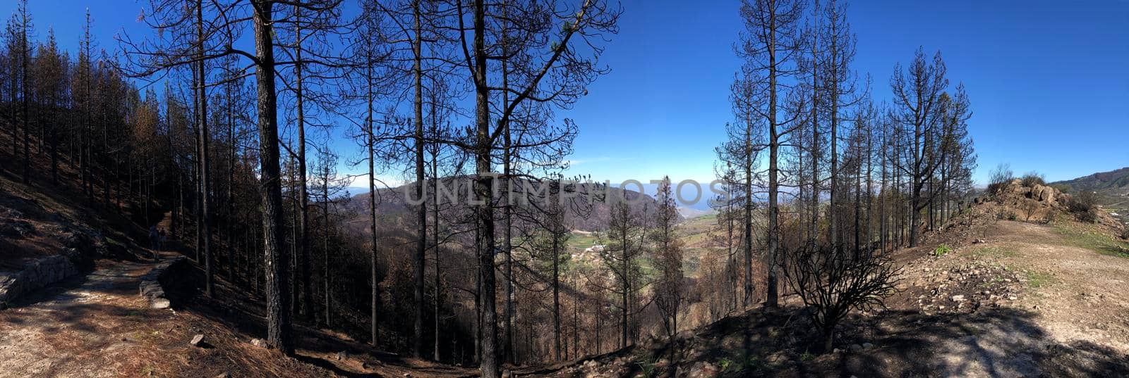 Hiking path on Gran Canaria