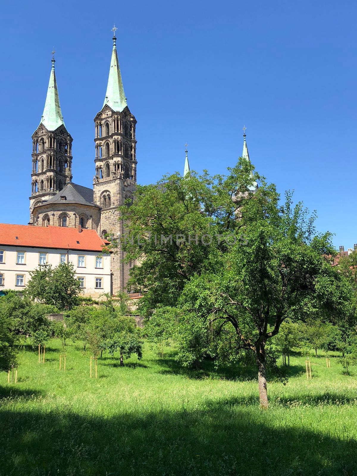 Bamberg Cathedral in Bamberg Germany