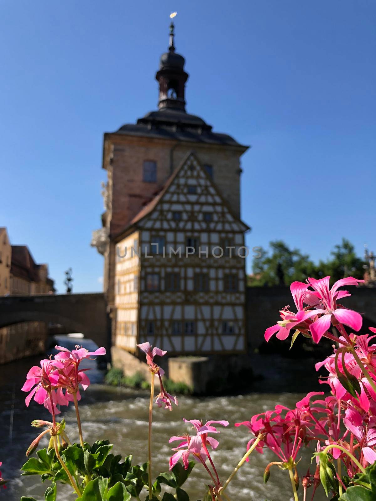 Flower in front of the Altes Rathaus in Bamberg Germany