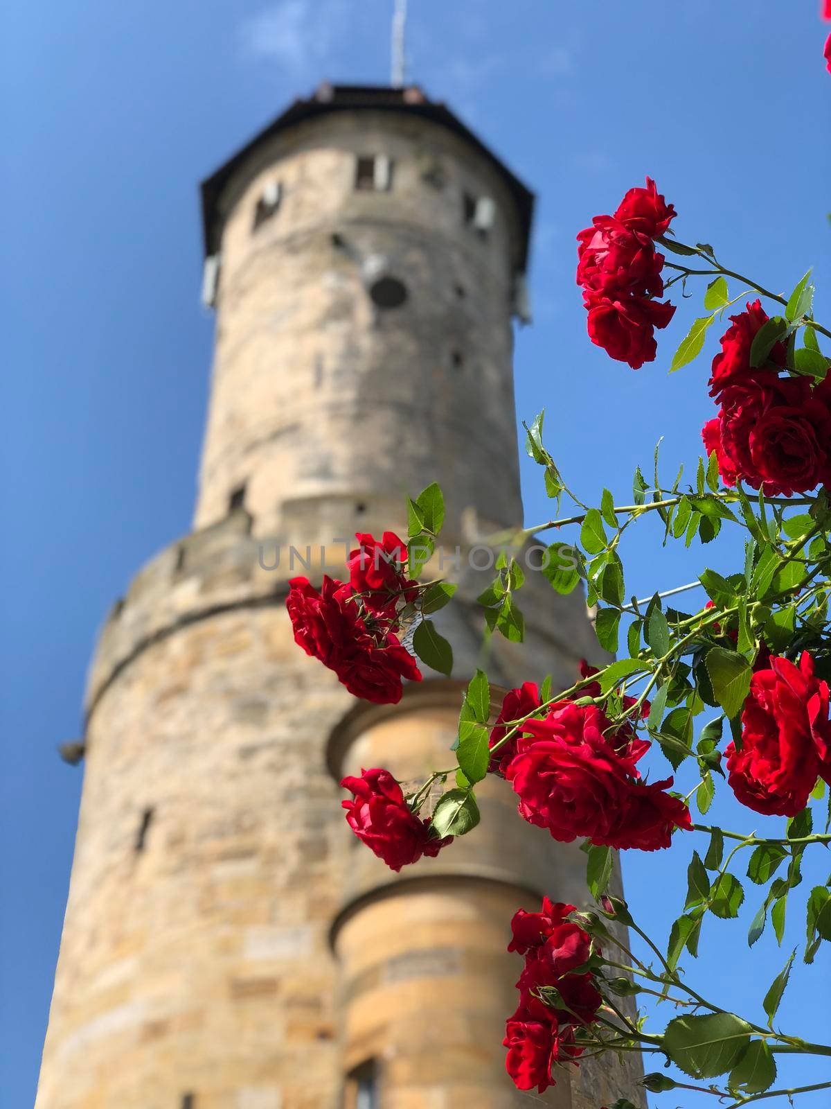 Tower from the Altenburg Castle in Bamberg Germany