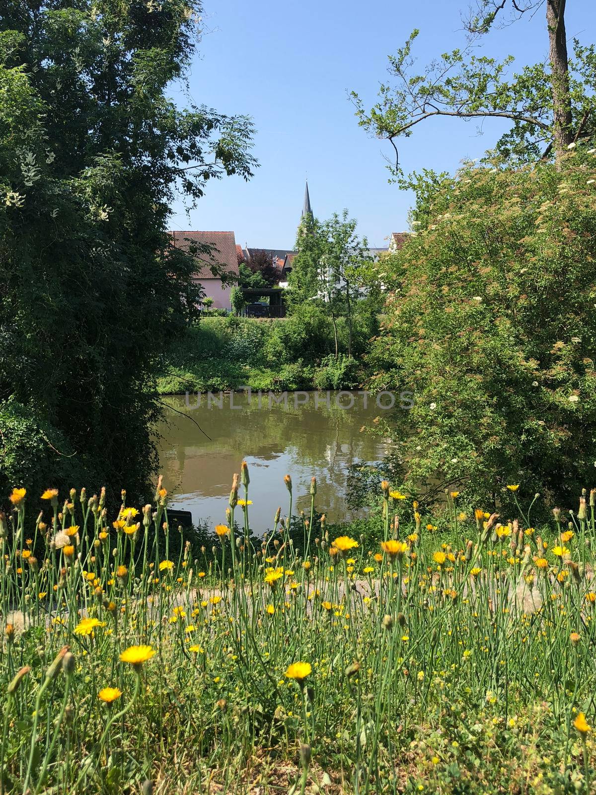 Linker Regnitzarm river in Bamberg by traveltelly