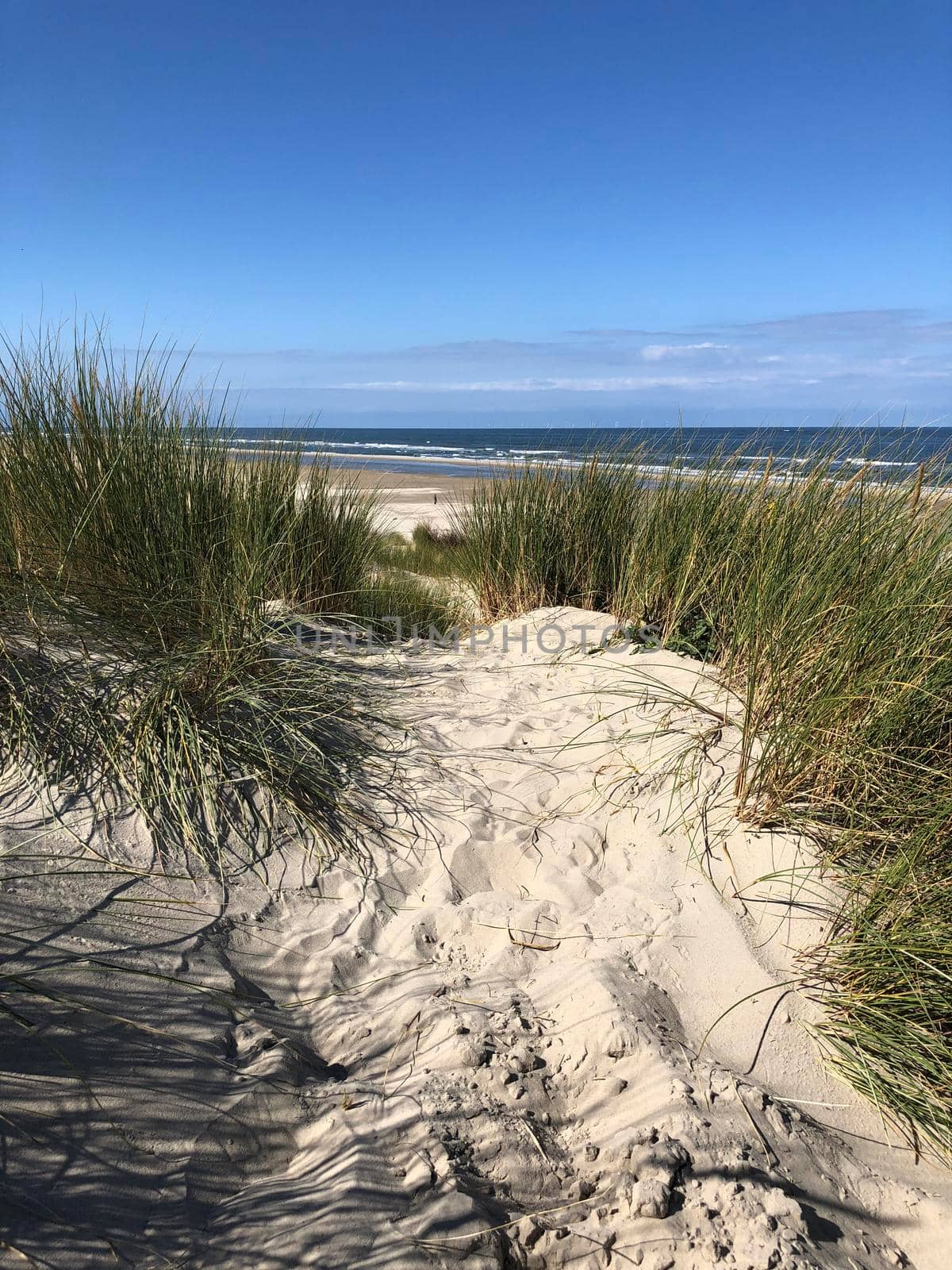 Sand dunes and the beach on Borkum island in Germany