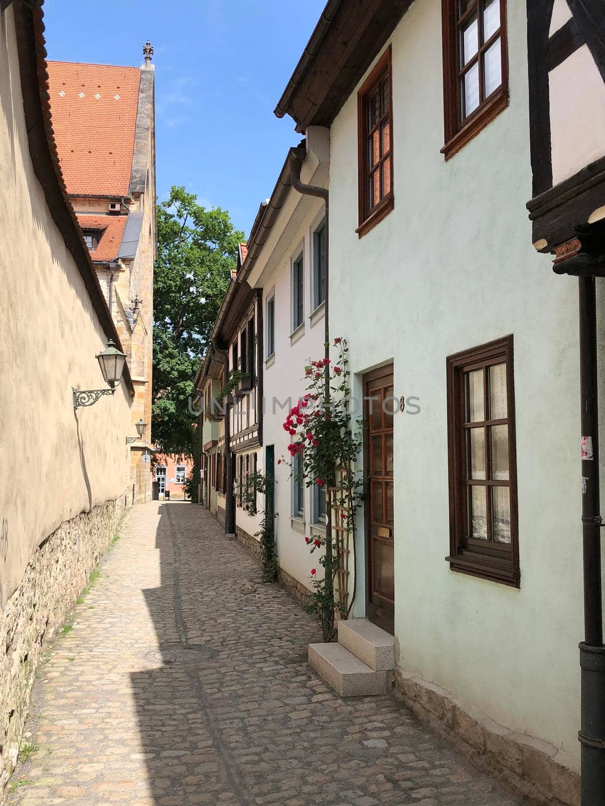 Timber frame houses in the old town of Erfurt  by traveltelly