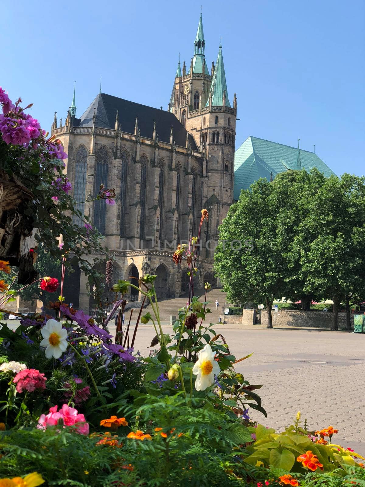 Flowers in front of the Erfurt Cathedral  by traveltelly