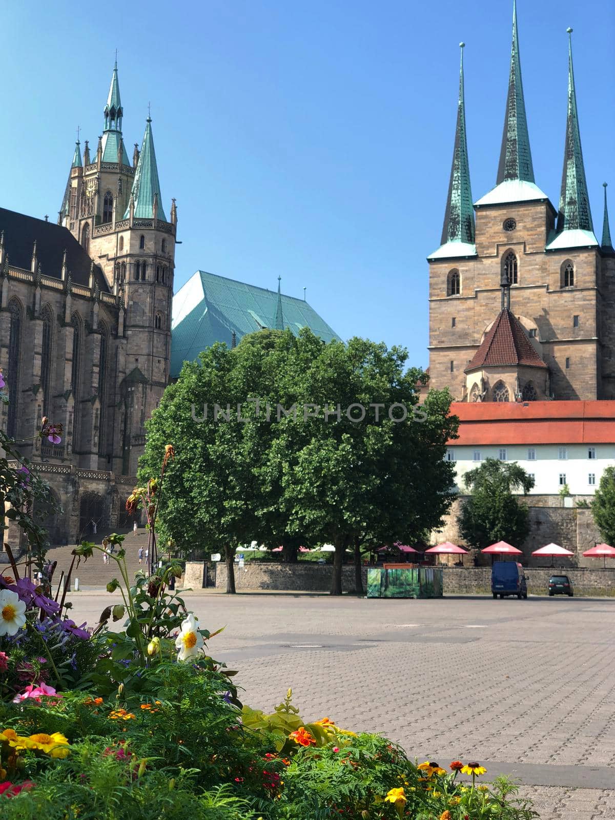 Flowers in front of the Erfurt Cathedral in Erfurt, Germany