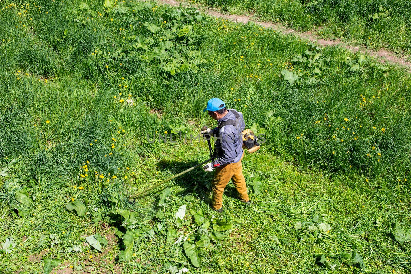 TULA, RUSSIA - MAY 19, 2020: Russian official lawnmower worker man cutting green grass with two-cycle engine string trimmer. Top to down view. by z1b