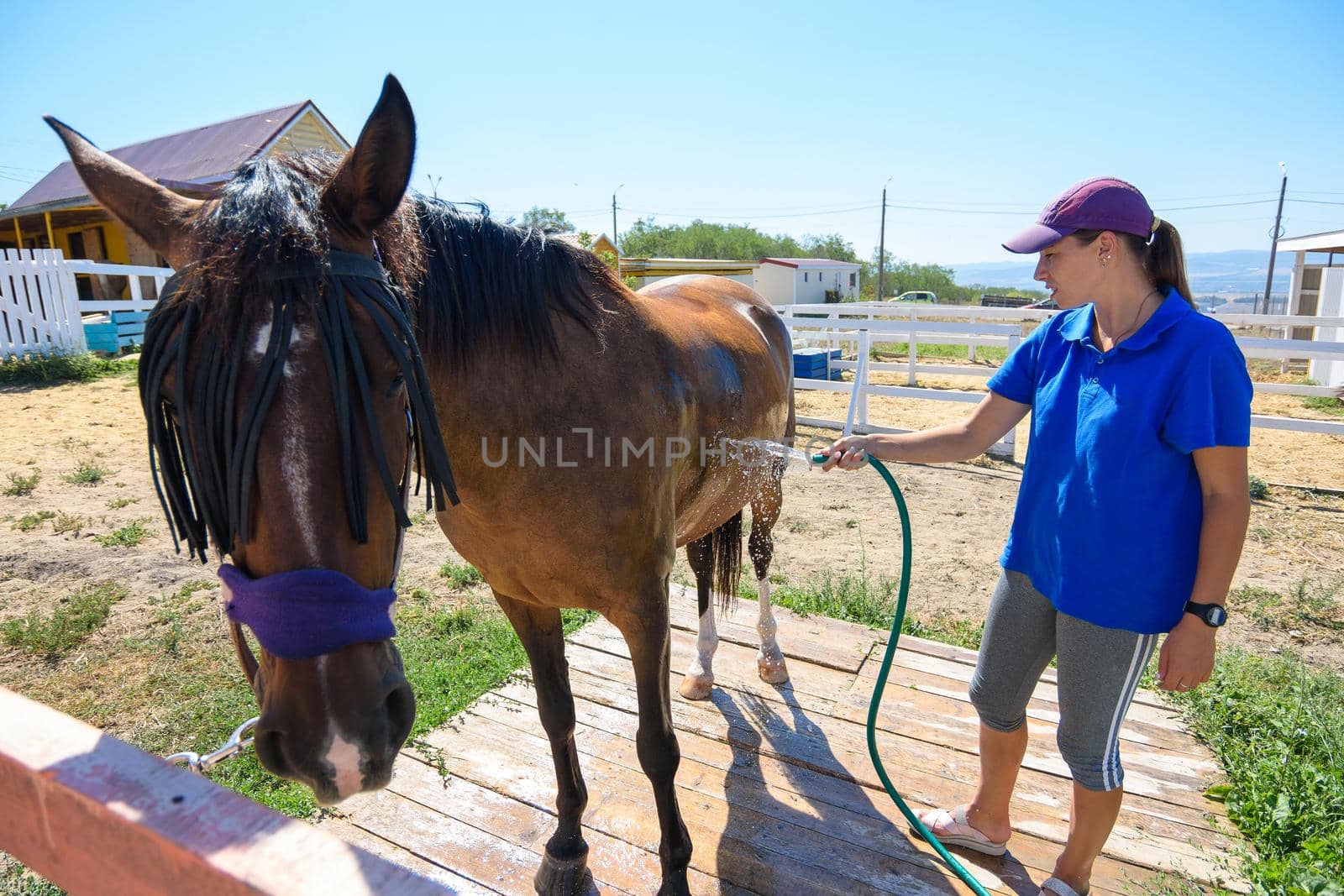 A girl pours water on a horse on a hot summer day