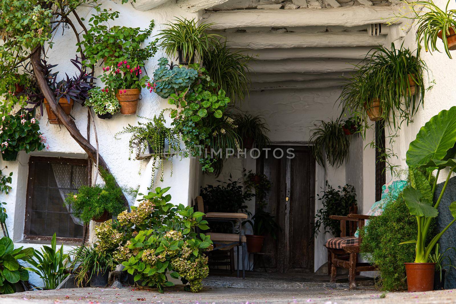 White patio with green plants from Cordoba by xavier_photo