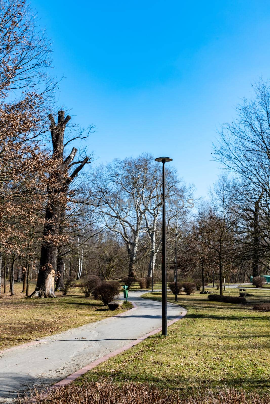 Long path in small park with trees without leafs around by Wierzchu