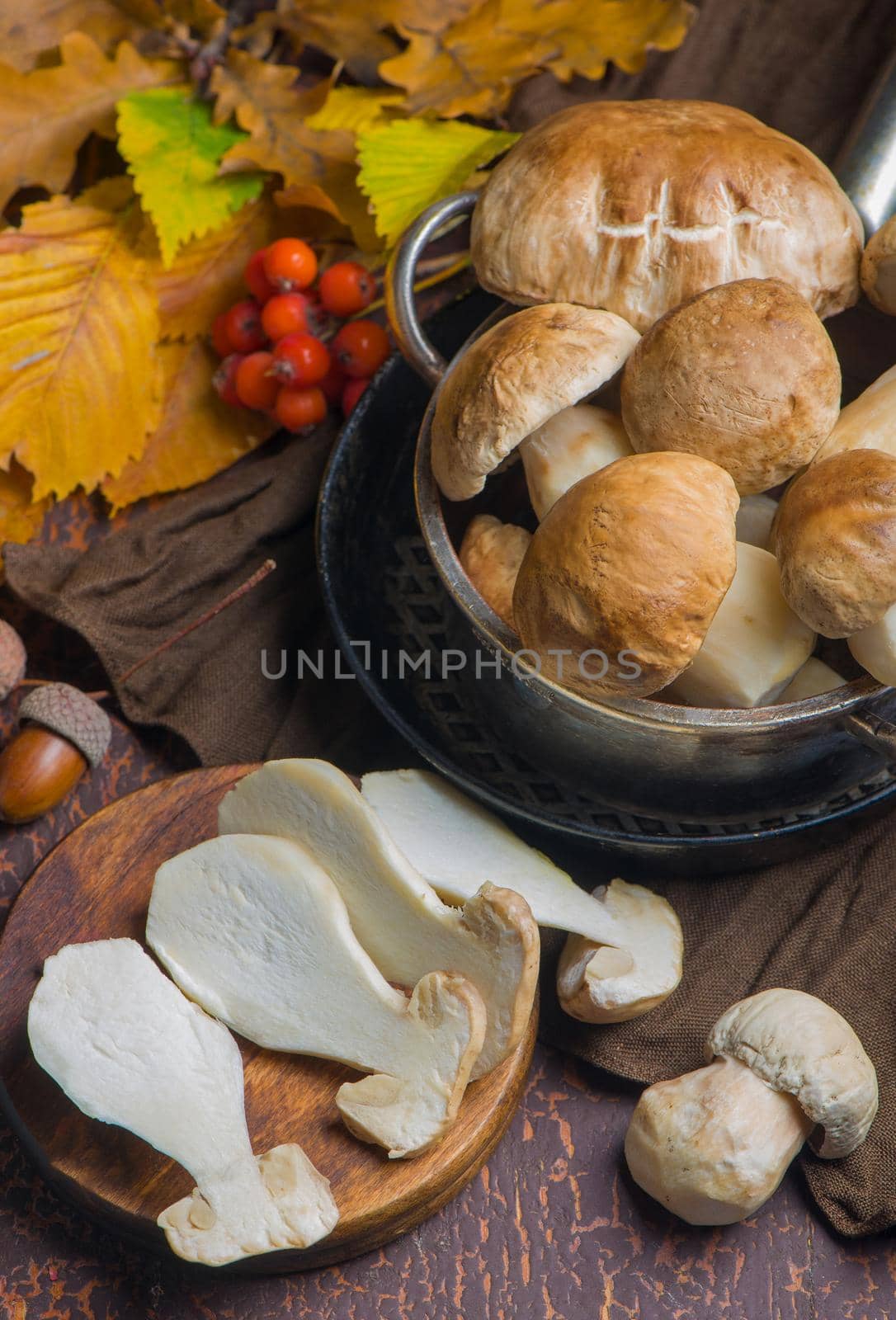 Mushroom Boletus edulis over Wooden Background. Cooking delicious organic mushroom.