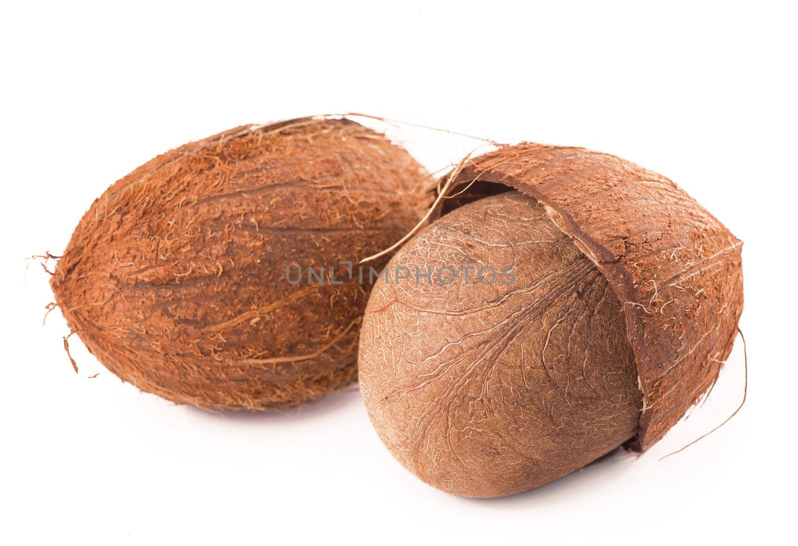 Coconuts with leaves on a white background.