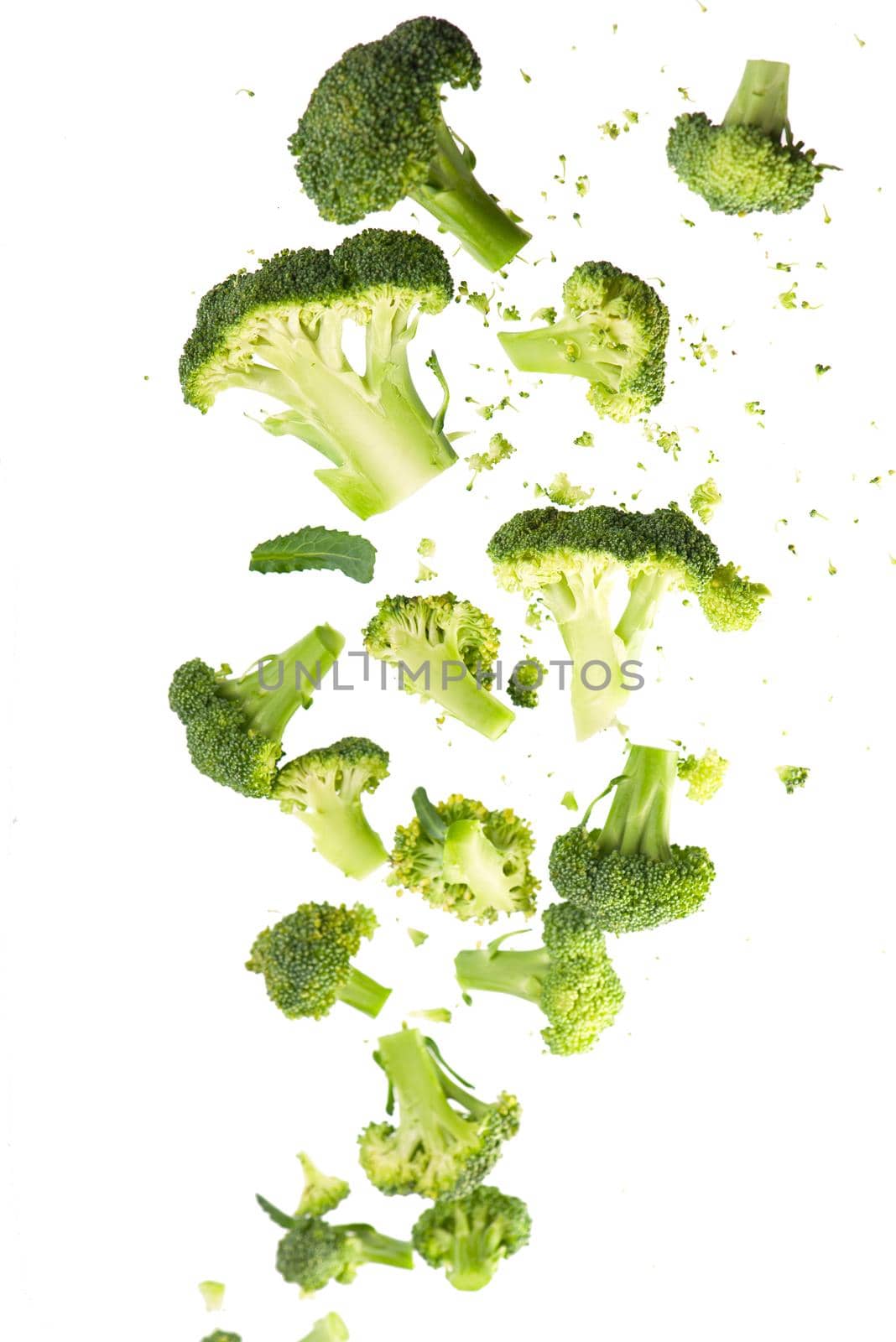 Broccoli pattern isolated on a white background. Various multiple parts of broccoli flower. Top view.