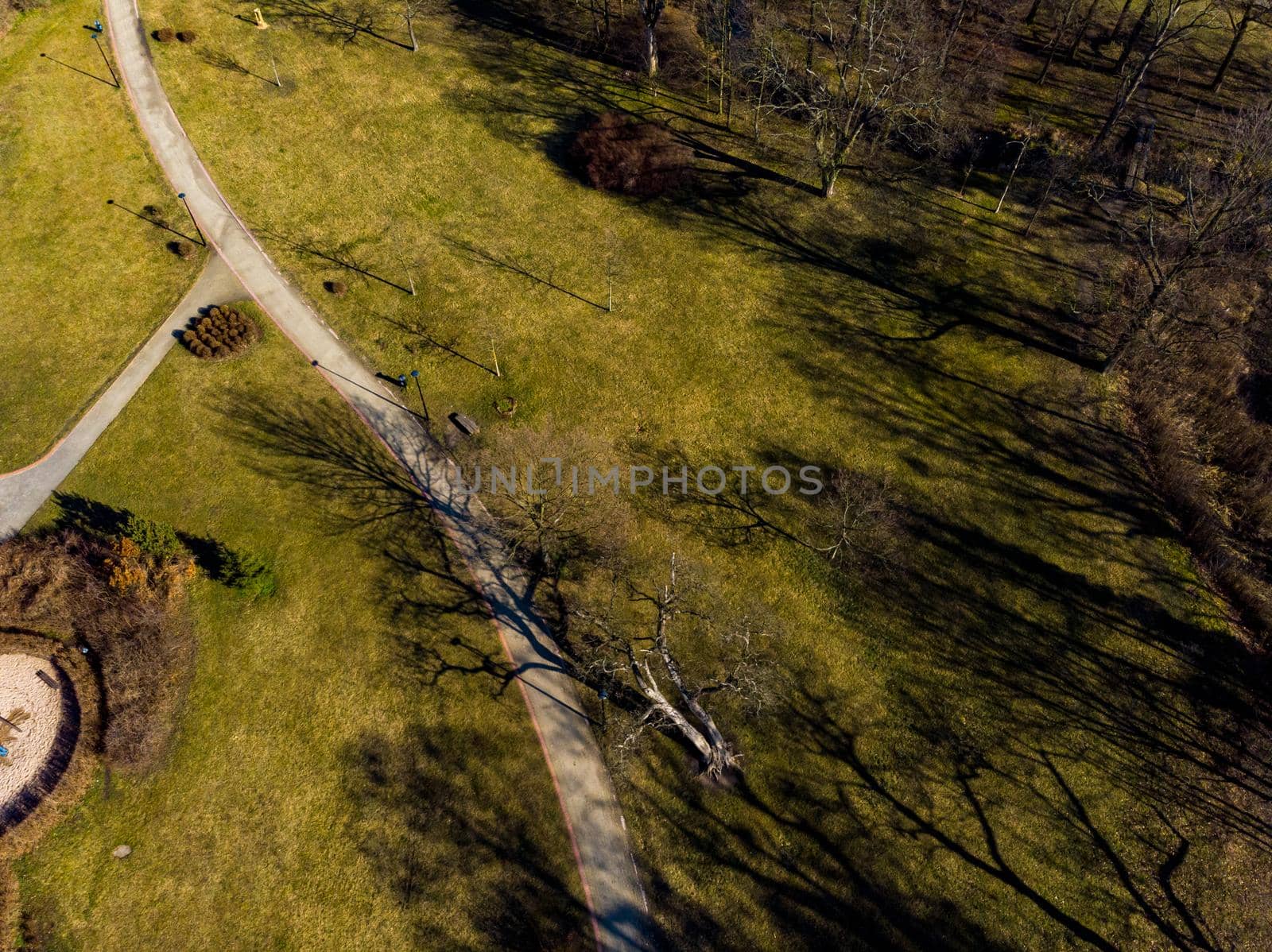 Aerial drone look to green park with long paths by Wierzchu