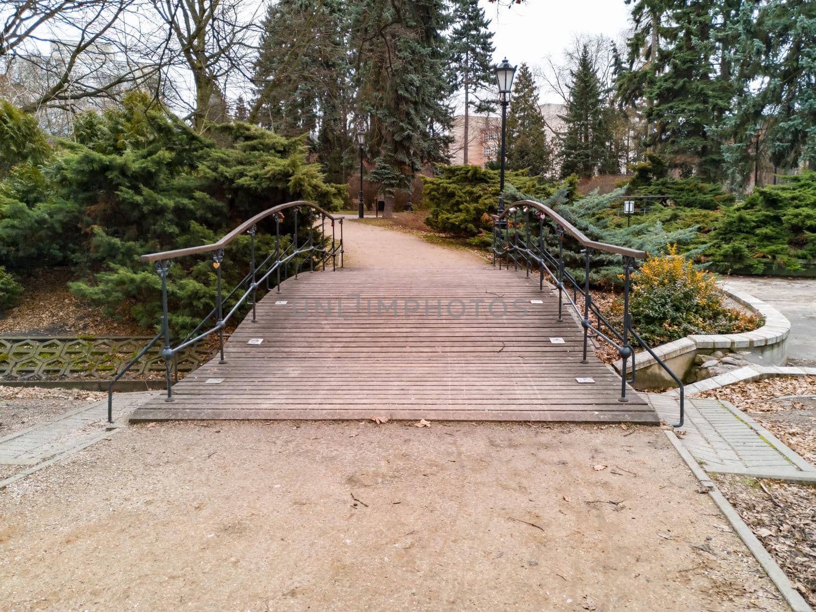 Old small wooden bridge in park with bushes around