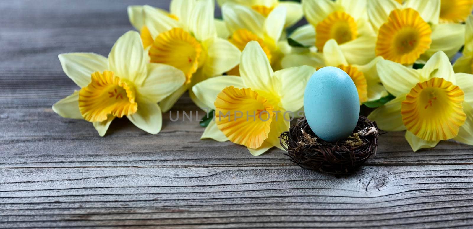 Select focus of a standing egg in nest with spring daffodil and rustic wood in background by tab1962
