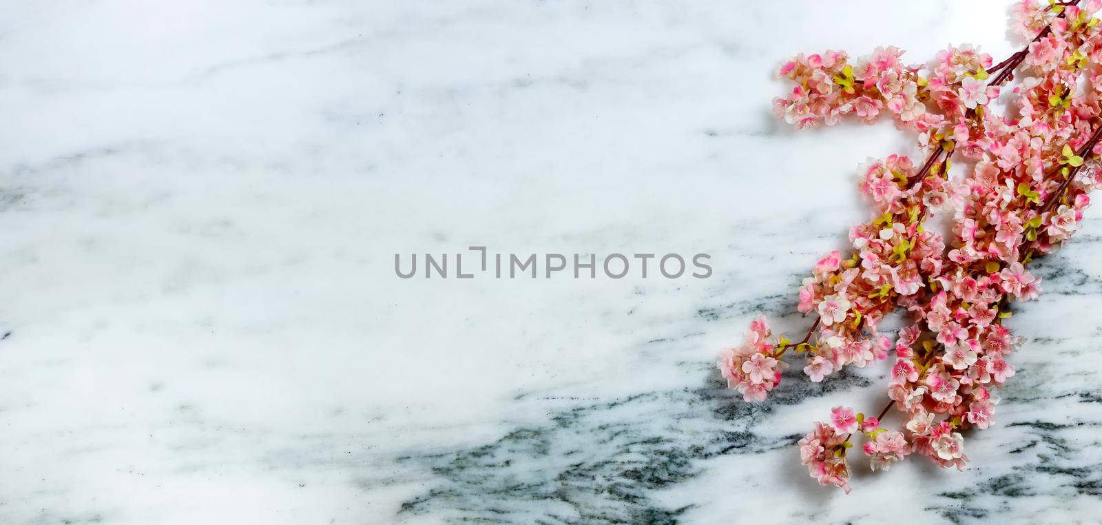 Easter concept with spring cherry blossoms on stone background by tab1962