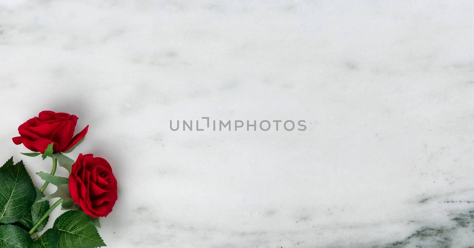 Happy Valentines Day with lovely red rose flowers on natural marble stone background 