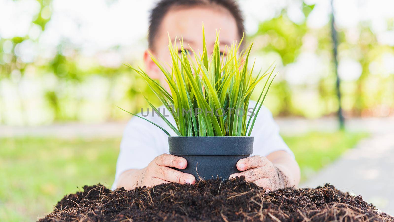 World Environment Day Environment and Save World Concept, Hand of Asian cute cheerful little child boy planting young tree on black soil on green garden background