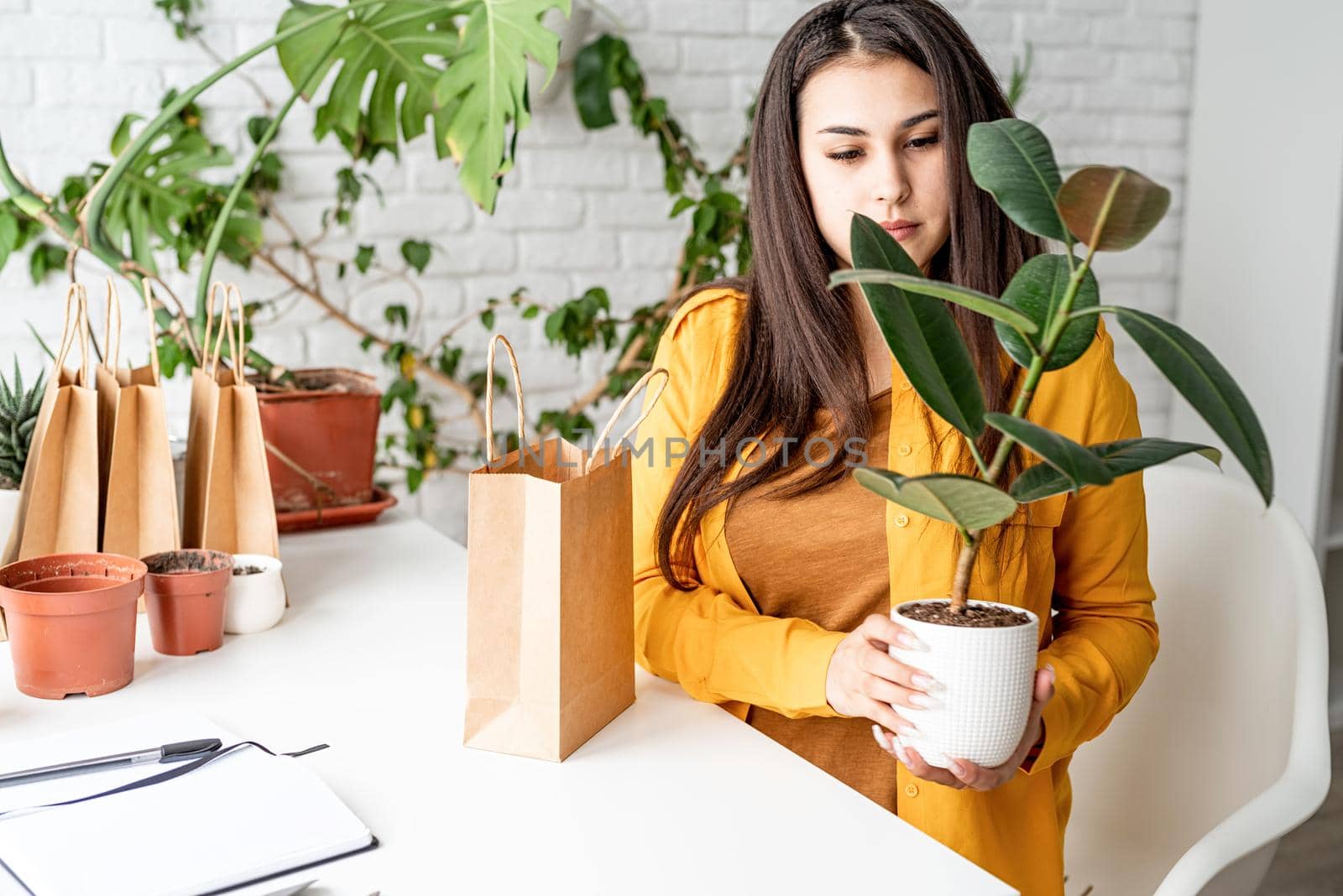 Young woman gardener taking care of the plants ready to sell it by Desperada