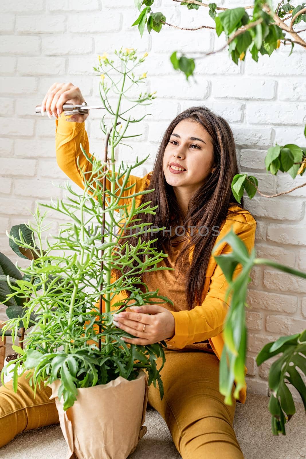 Woman gardener taking care of her home garden plants by Desperada