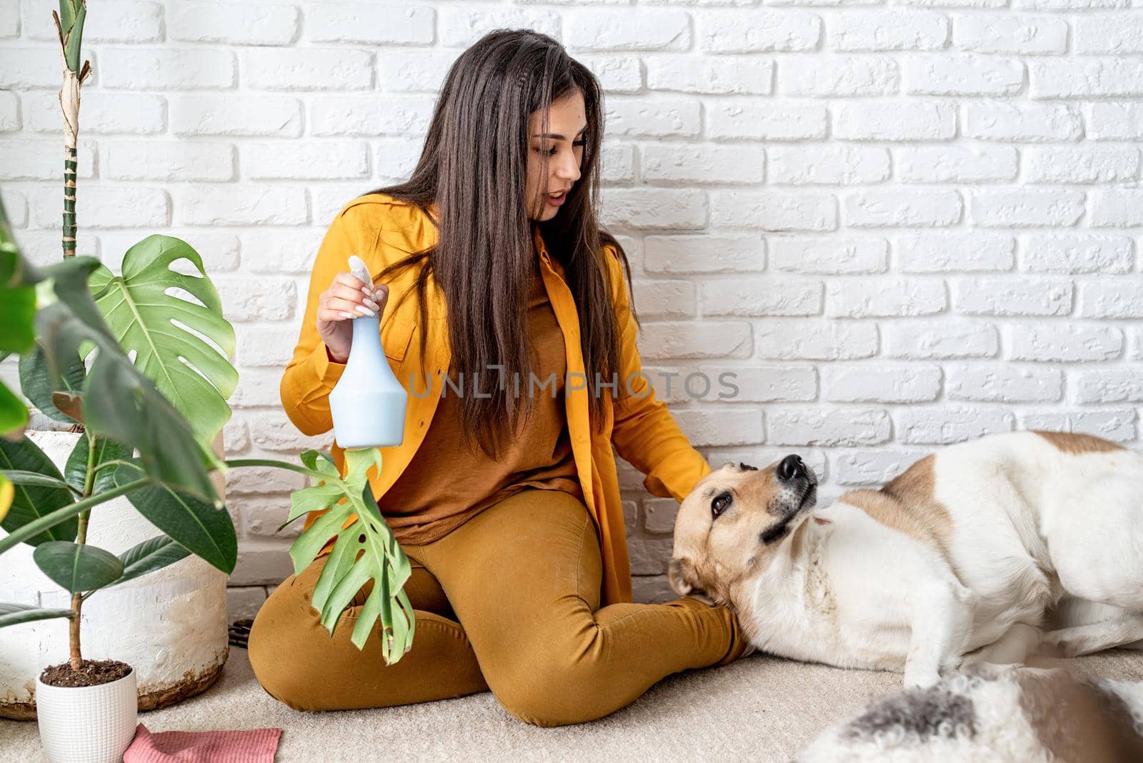 Woman gardener taking care of her home garden plants and patting her dog by Desperada