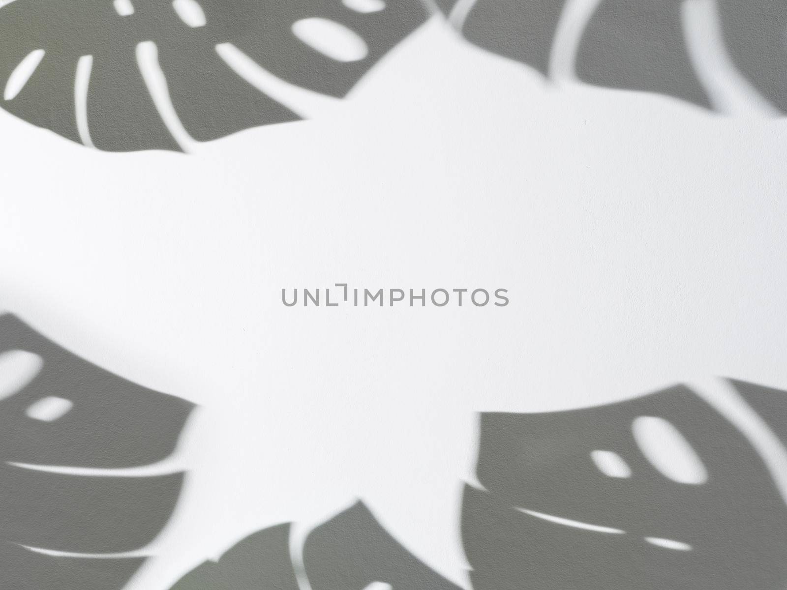 Shadow of monstera leaves pattern on white background. Tropical plant monstera shadow on gray wall. Copy space for text. Creative layout monstera leaves decorating for composition design, wallpaper
