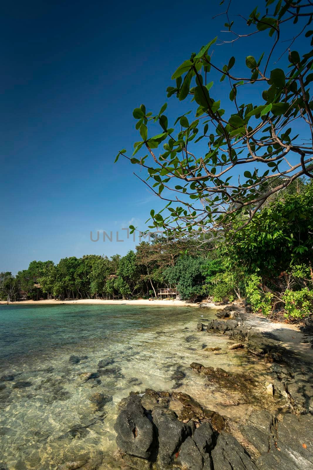 Treehouse Bay in Koh Ta Kiev paradise island in cambodia  by jackmalipan