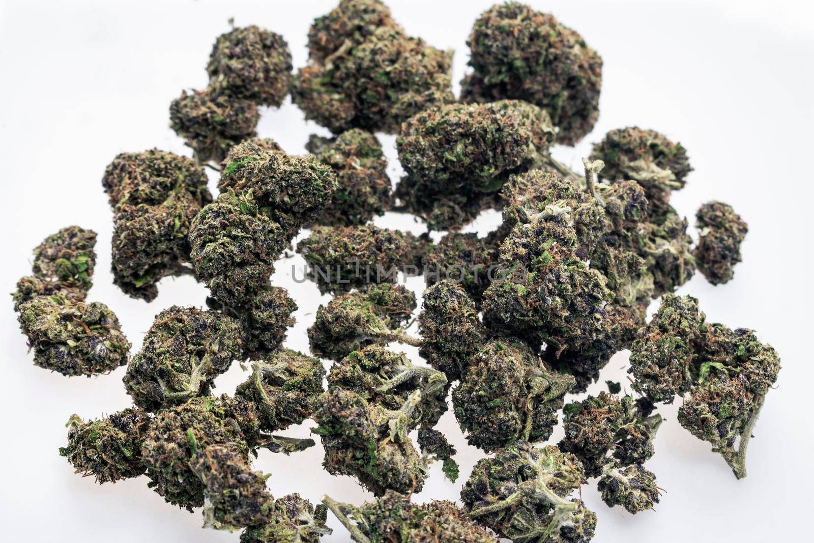 US medical marijuana cannabis buds closeup on white studio background in california