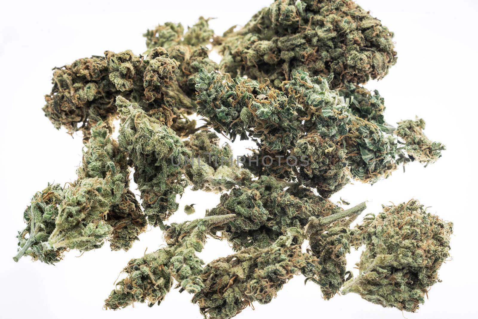 medical marijuana cannabis buds closeup on white studio background by jackmalipan