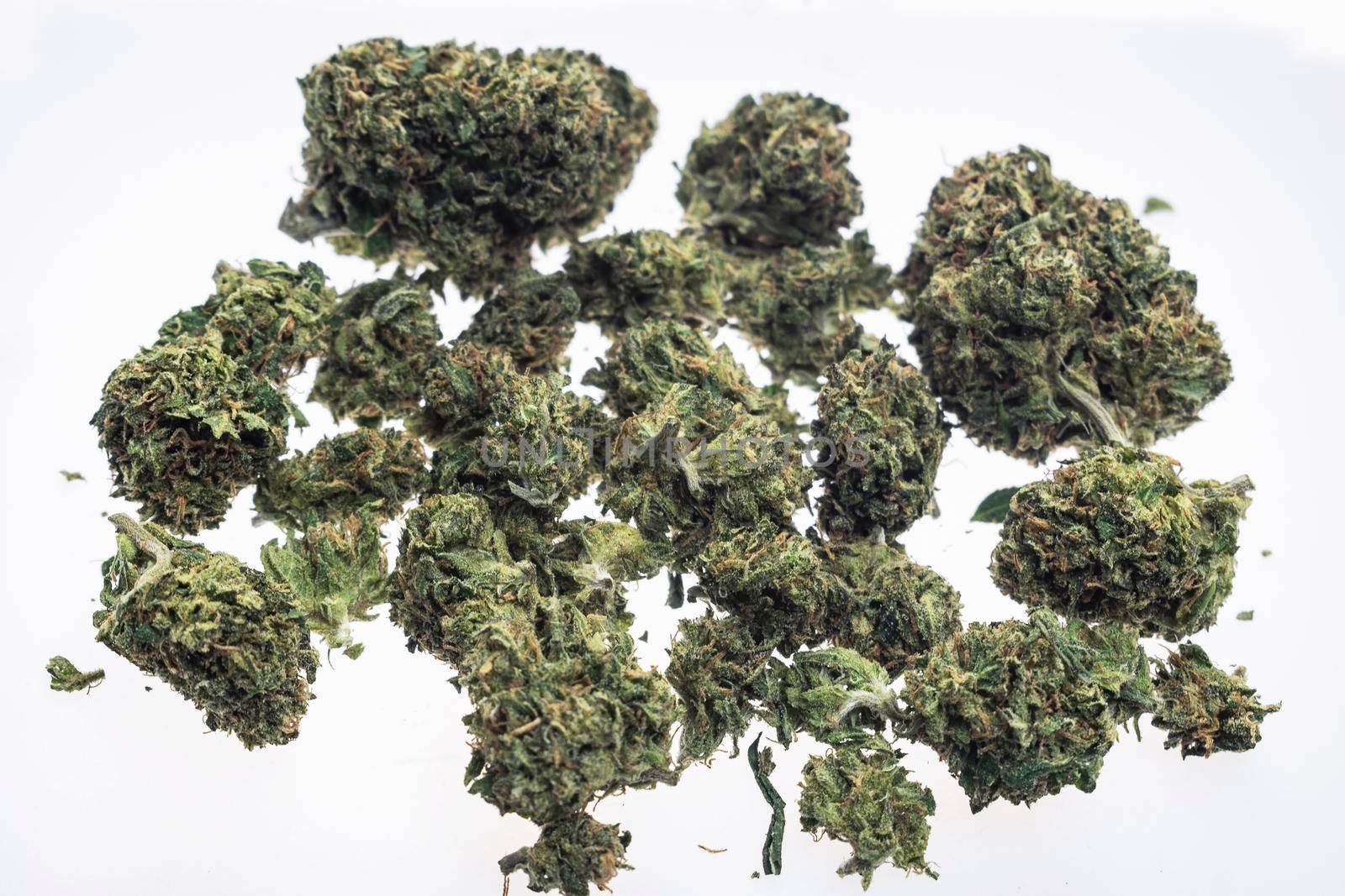 medical marijuana cannabis buds closeup on white studio background by jackmalipan