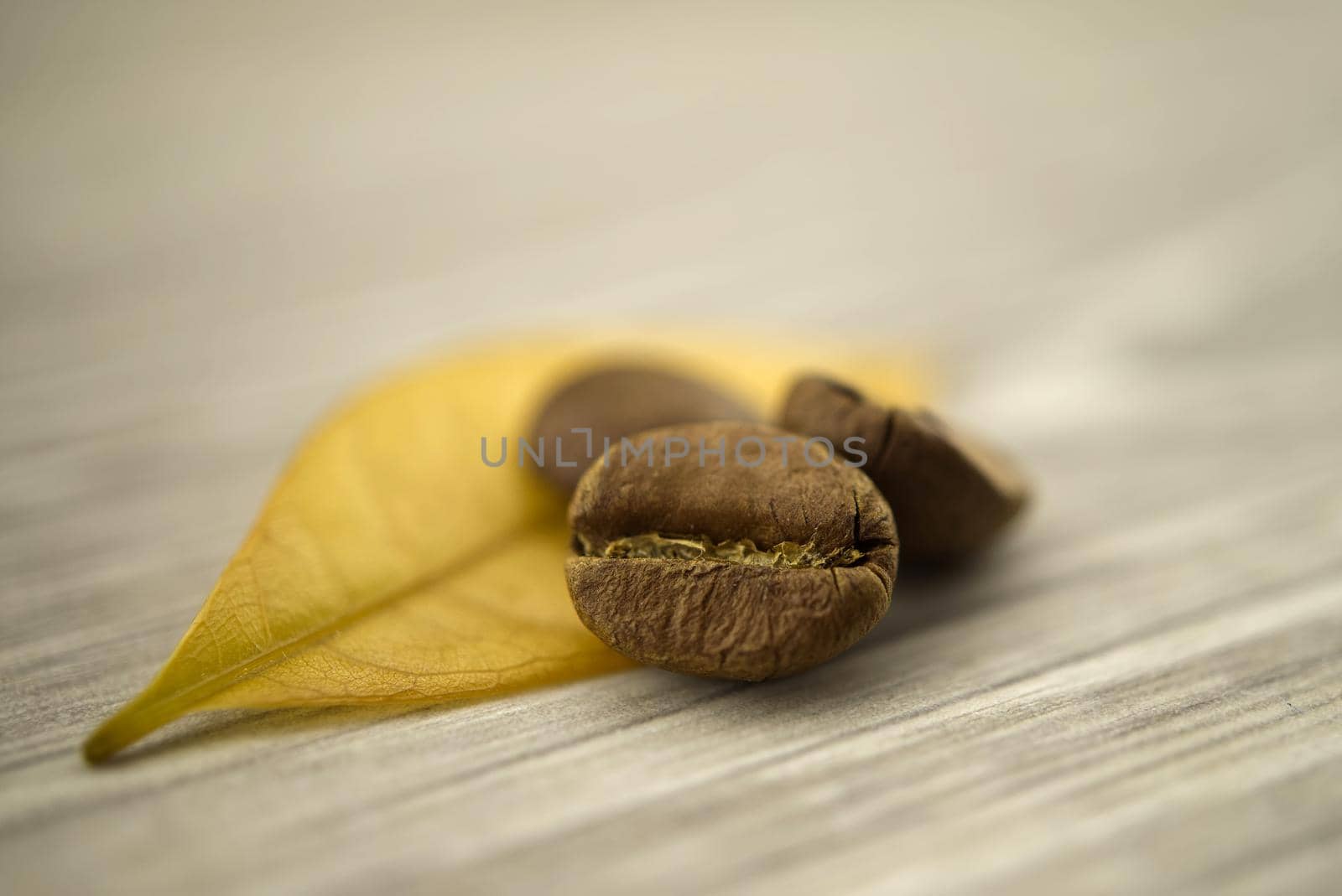 Roasted coffee beans and yellow leaf on wooden background. Macro photo