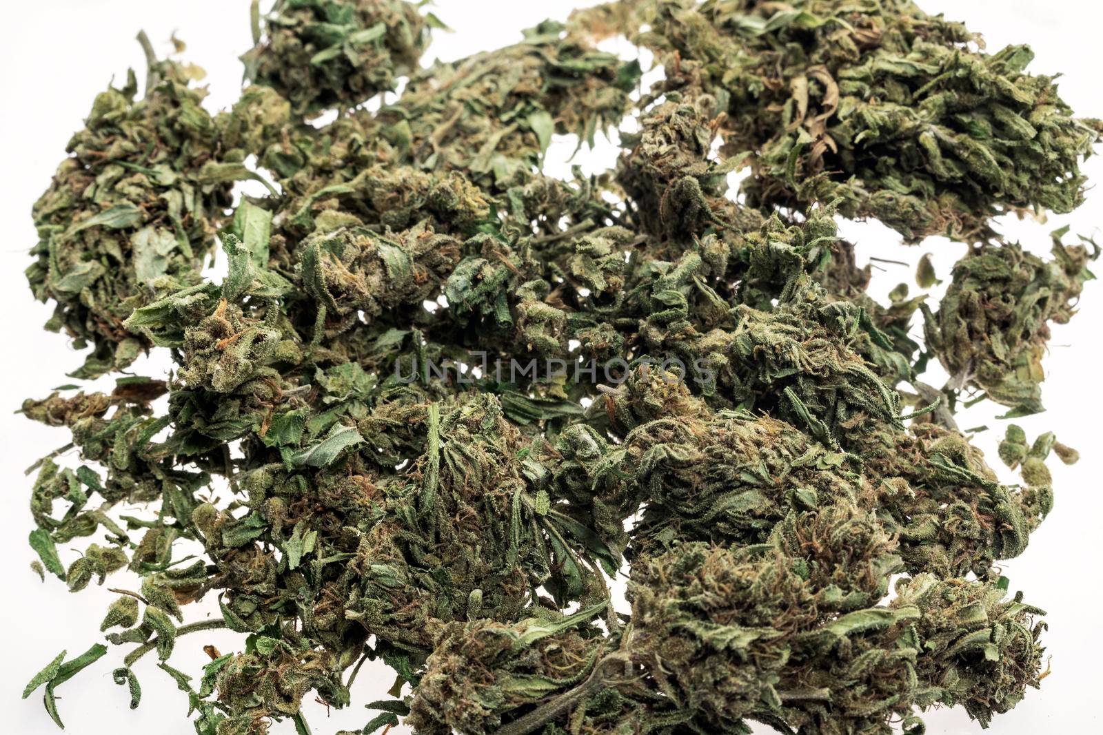 thai medical marijuana cannabis buds closeup on white studio background in bangkok