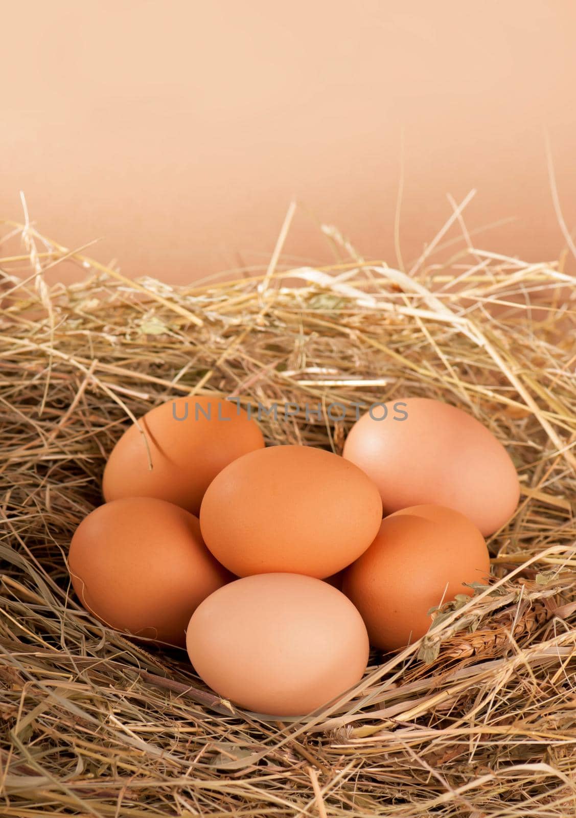 pile of brown eggs in a nest by aprilphoto