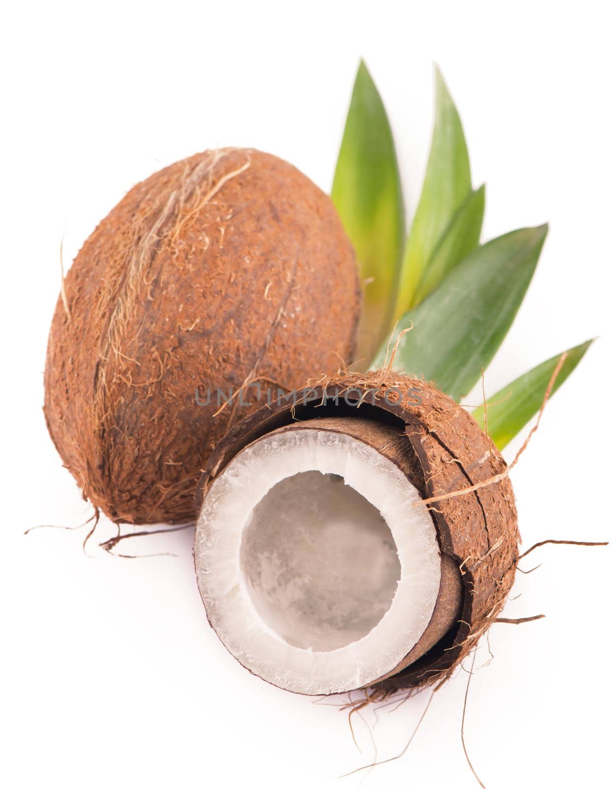 Coconuts with leaves on a white background.