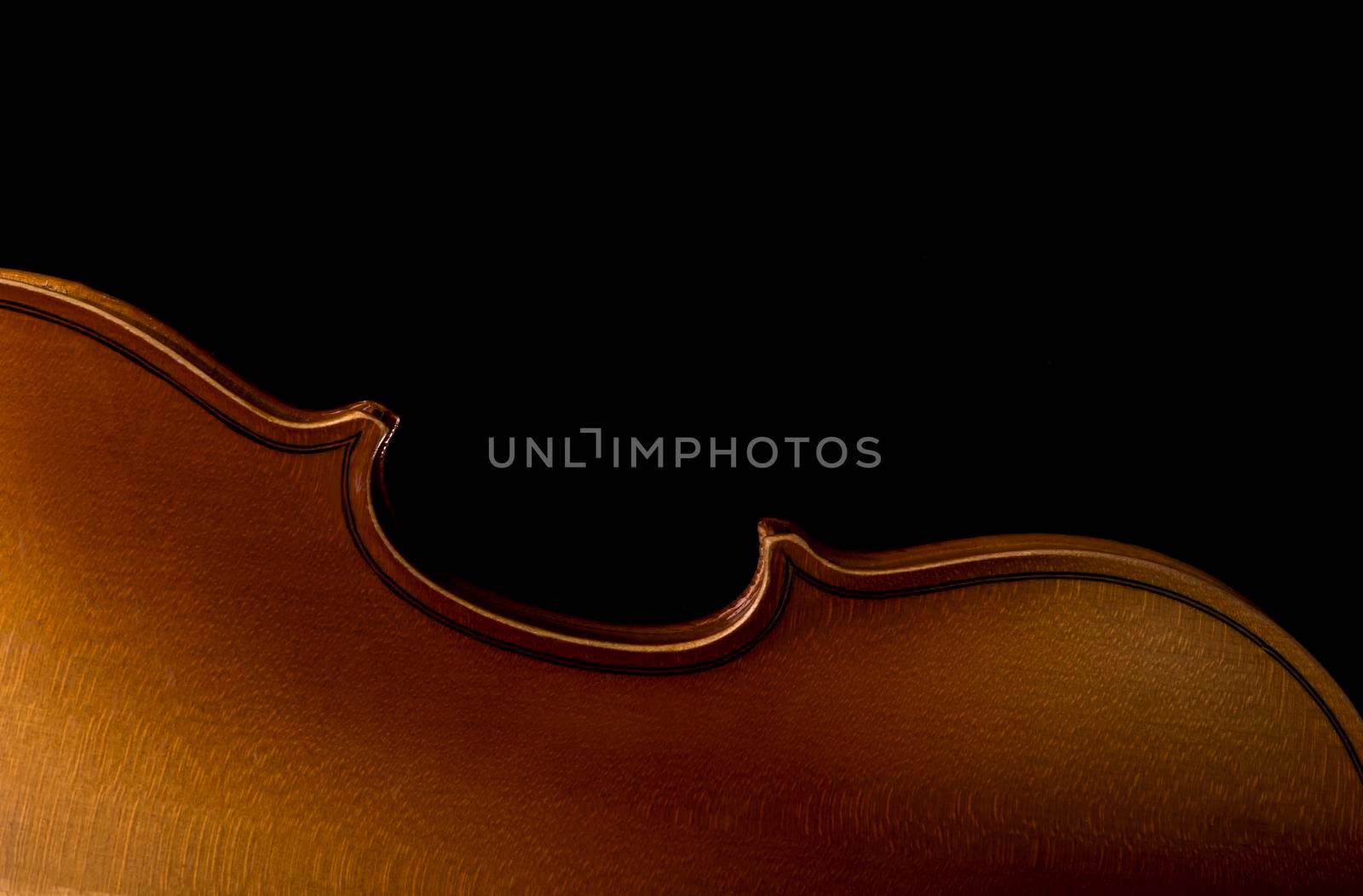 Violin music instrument closeup isolated on black by aprilphoto
