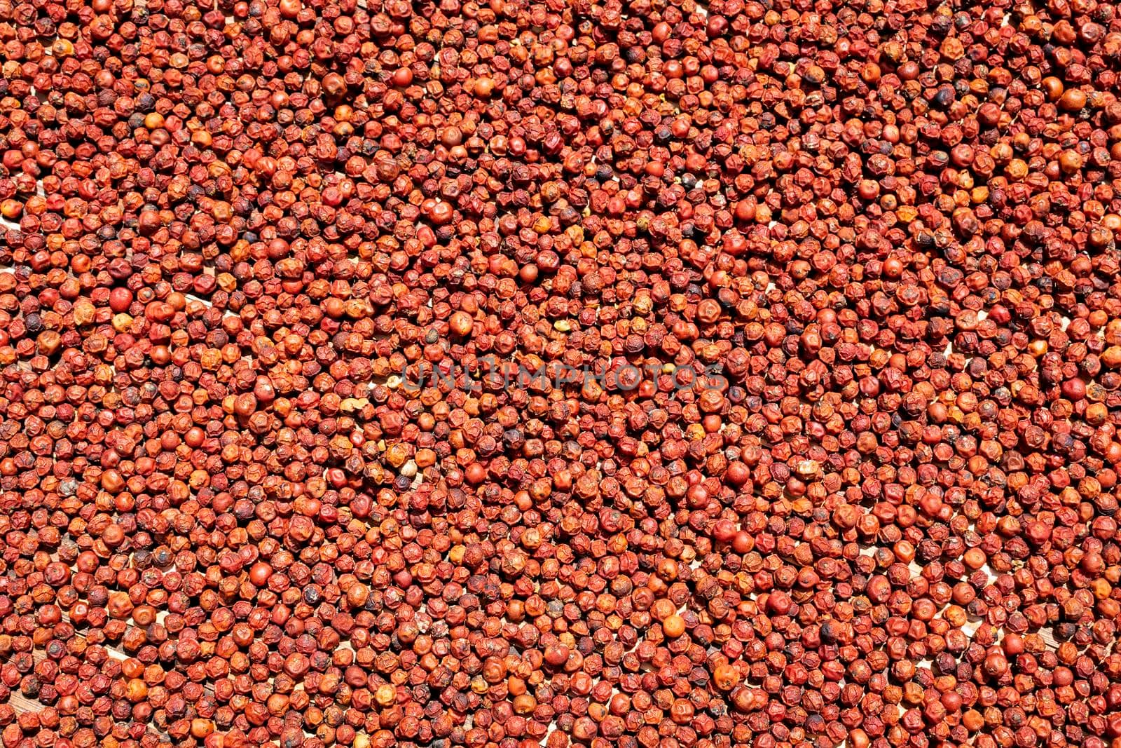 asian red peppercorns drying in the sun by jackmalipan