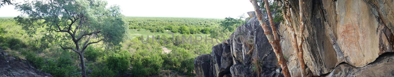 Panorama from Chobe National Park in Botswana