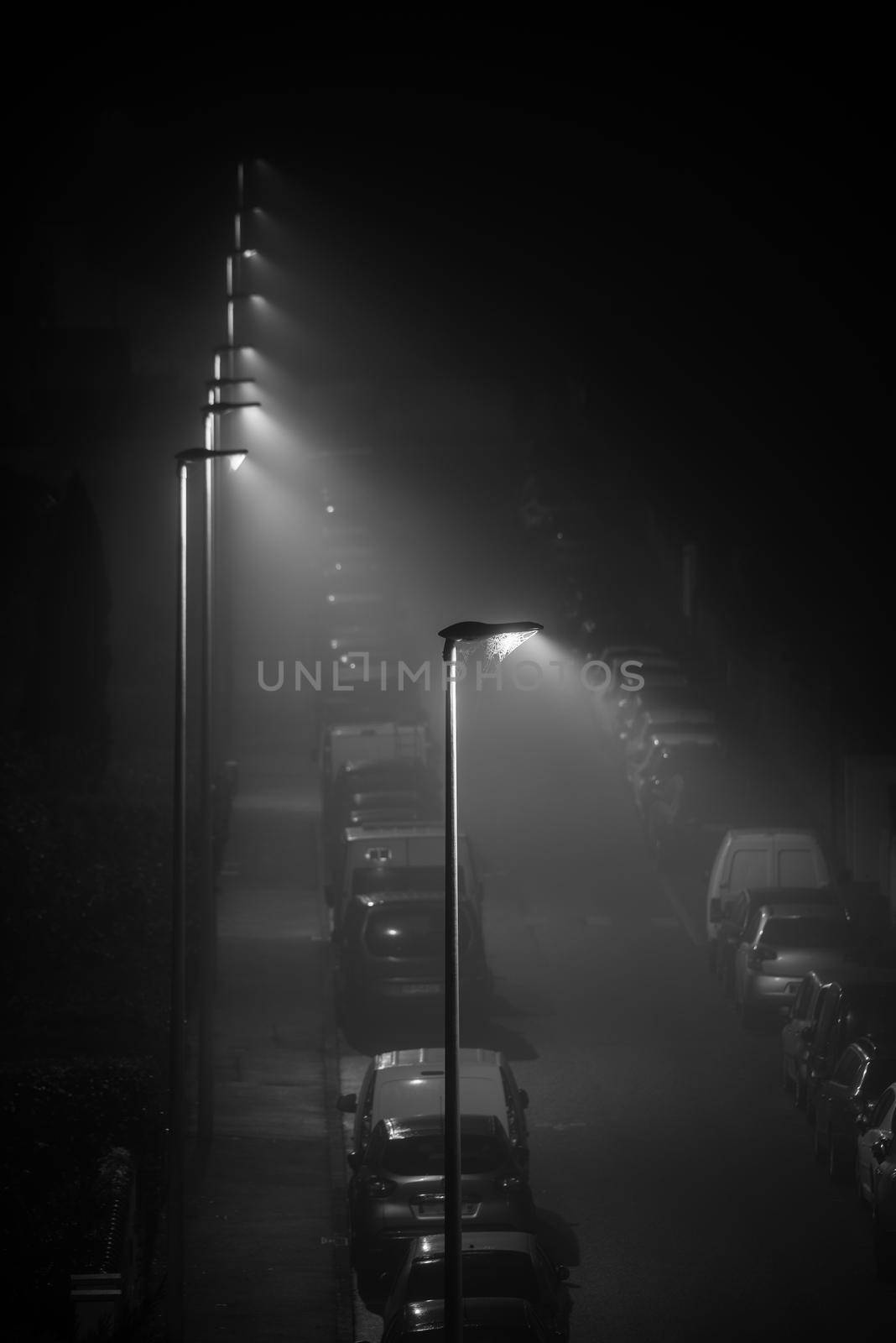 Modern LED street lights illuminating an empty foggy street, spider web on the lamp.