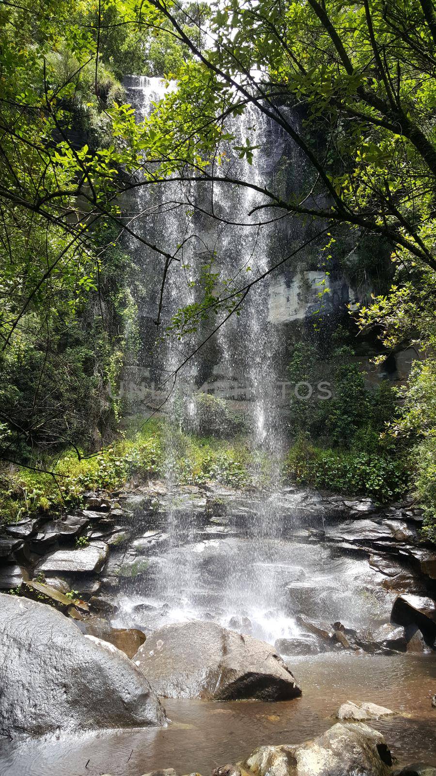 Waterfall around Natal Drakensberg National Park in South Africa in South Africa