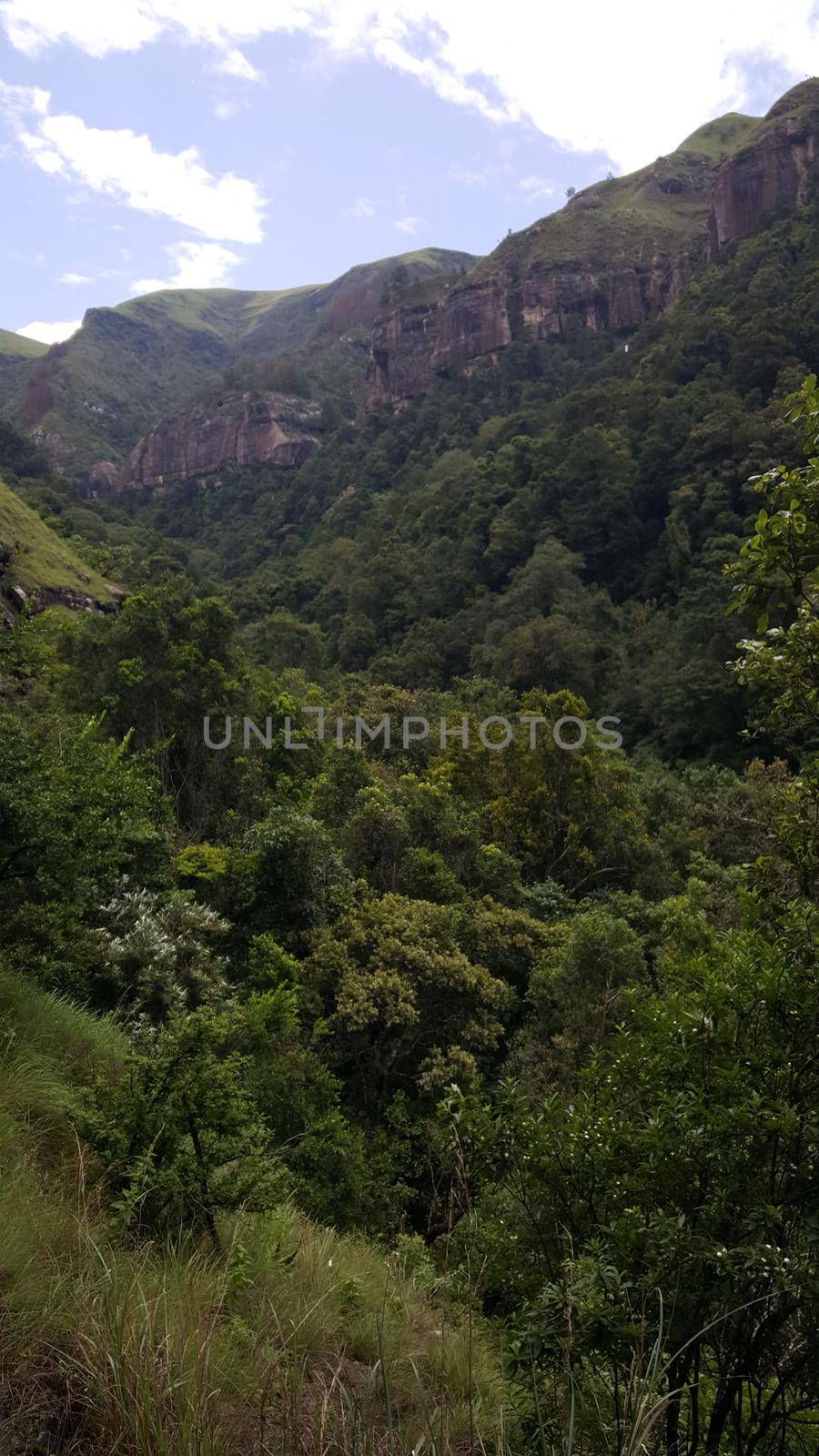 Scenery around Natal Drakensberg National Park in South Africa in South Africa