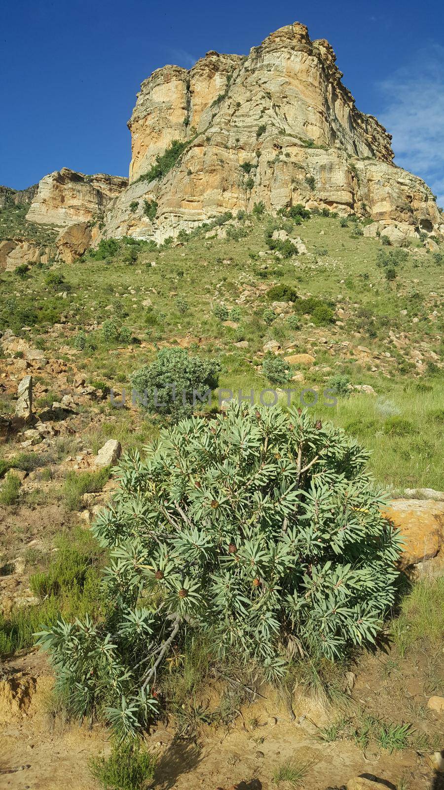 Rocks at Golden Gate Highlands National Park  by traveltelly