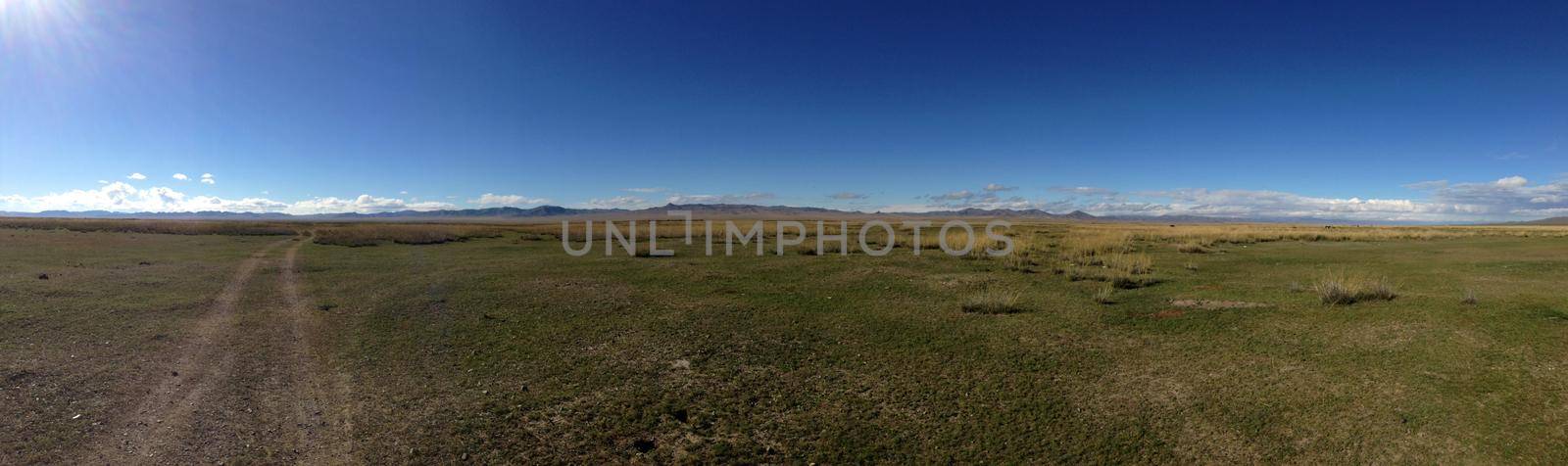 Road through the countryside of Mongolia