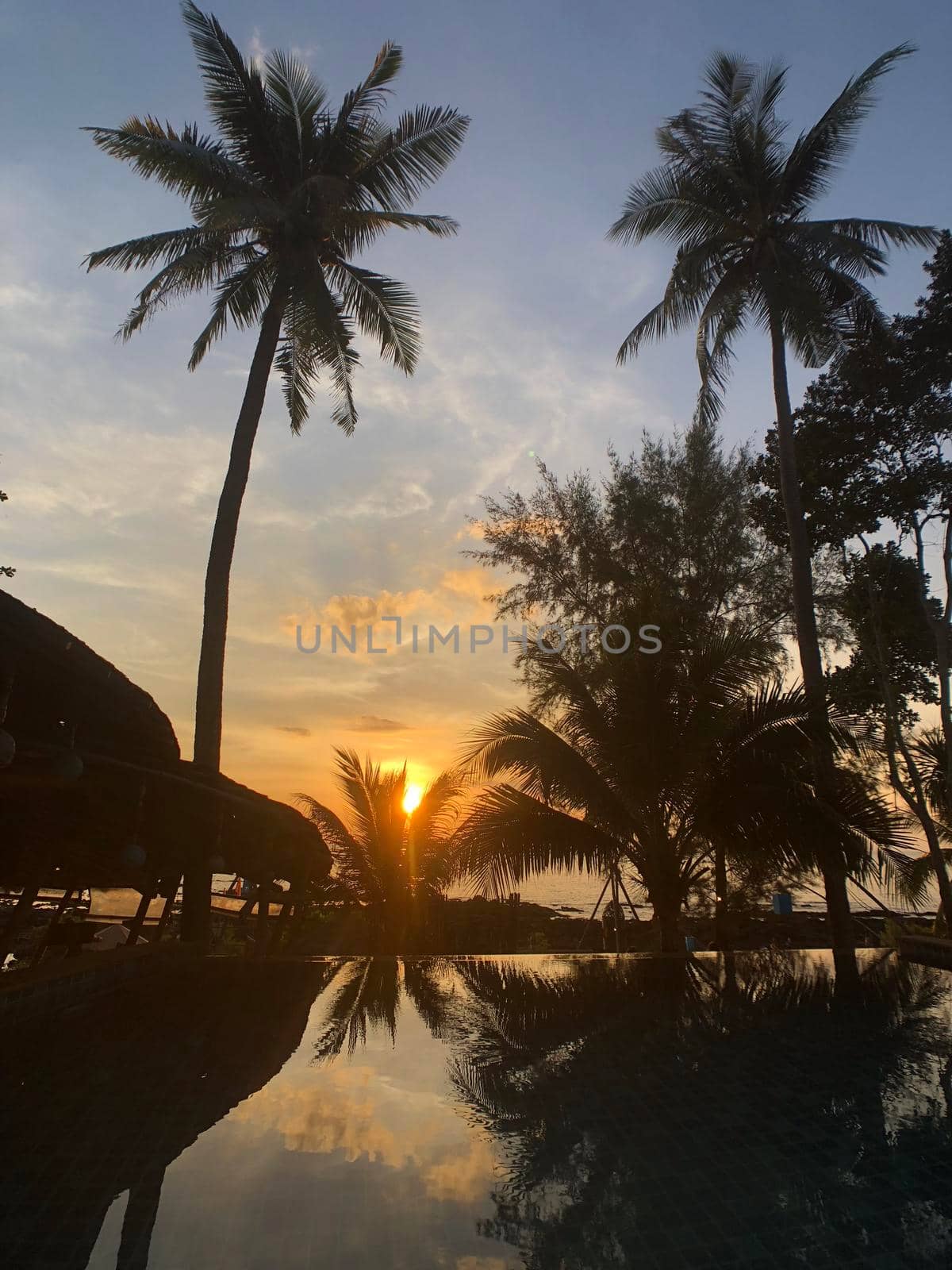 Sunset with palmtree reflection in a pool at Koh Lanta Thailand